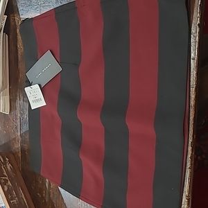 NWT Zara Woman Skirt Small